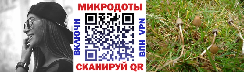 мориарти наркотические препараты  Пошехонье  Псилоцибиновые грибы прущие грибы 
