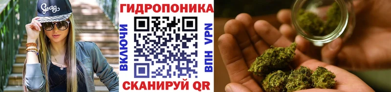 Марихуана конопля  Пошехонье 